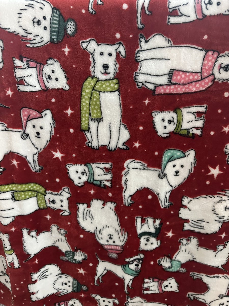 debraleighTV's tweet photo. #Christmasinjuly = #cozeepaws #velvetsoftthrows #workingwithqvc #funtimes #shopwithjoy #adorable #ad https://t.co/cBryNgUJXR