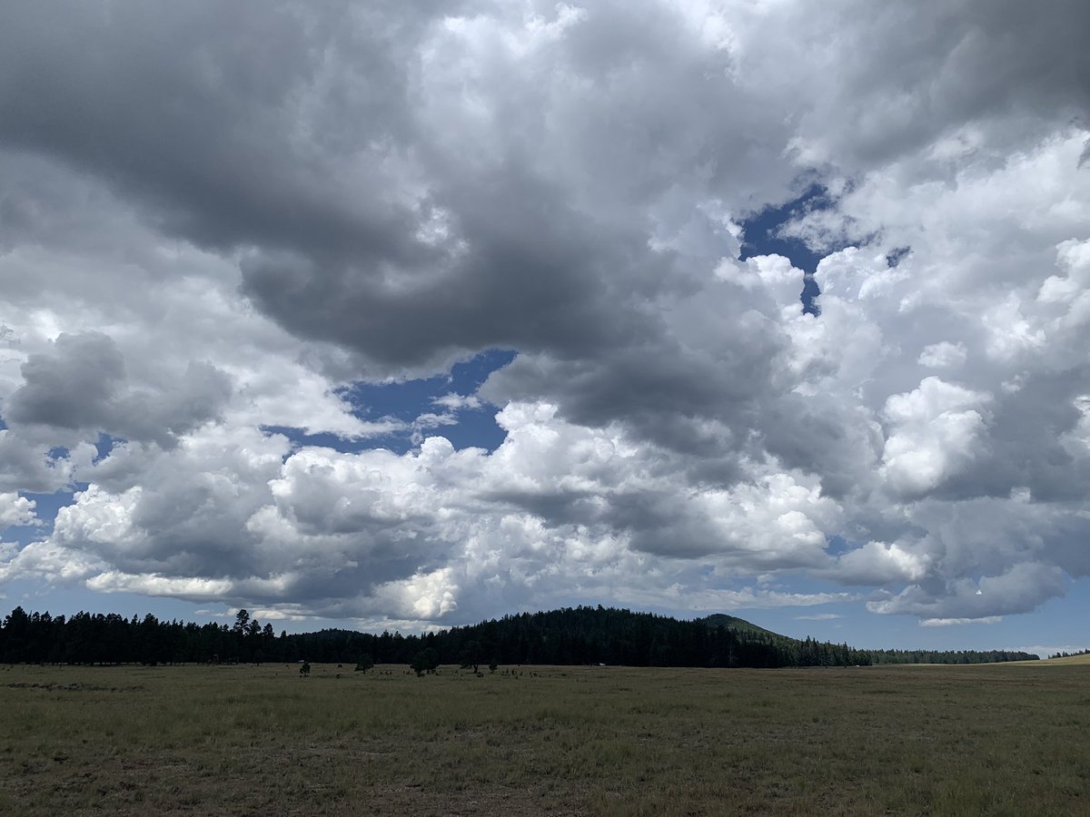 drsambalk's tweet photo. Storm clouds starting to organize over the Whites. #azwx https://t.co/nkSChCQTdj