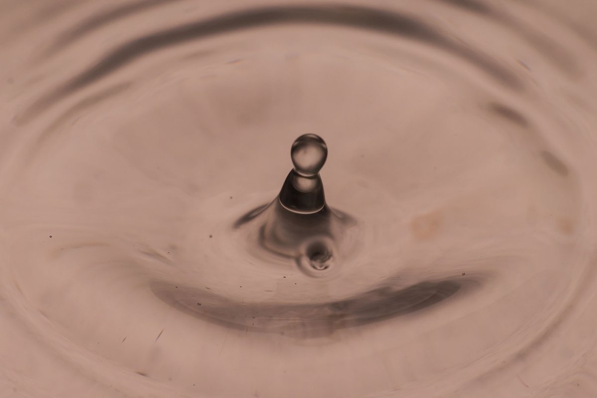 agarwalsonika7's tweet photo. The sound of water says what I think. 

#macrophotography
#macroworld
#macrolove
#macrobeauty
#macromagic
#naturemacro
#closeupphotography
#detailed
#macroshot
#macroaddict
#macrofloral
#macromoments
#macroart
#macrofocus
#macrophotographer
#macroshotoftheday
#amazingmacros https://t.co/wp9db6S5Y7