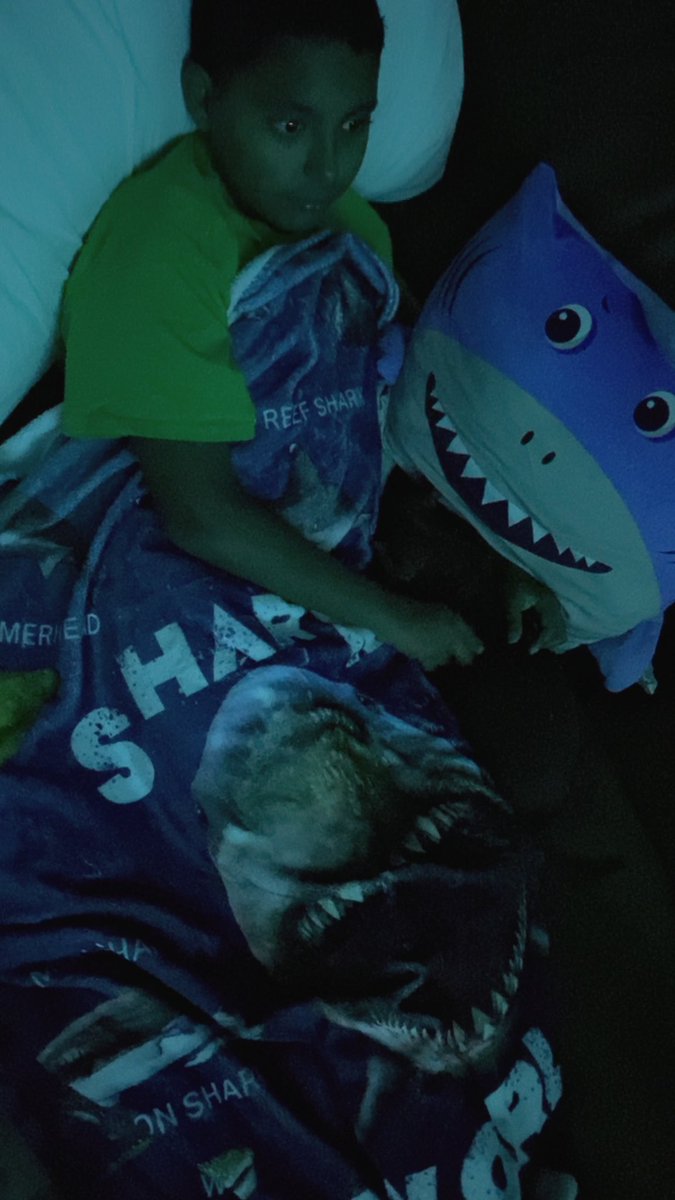 Sarahjolopez80's tweet photo. We may be running off a generator following that quick storm but someone is not going to miss @SharkWeek .  
And if you look closely, our little Coco 🐶 is scared of the Great White!  

Favorite part of July is watching @SharkWeek @Discovery https://t.co/KjTacBuBKa