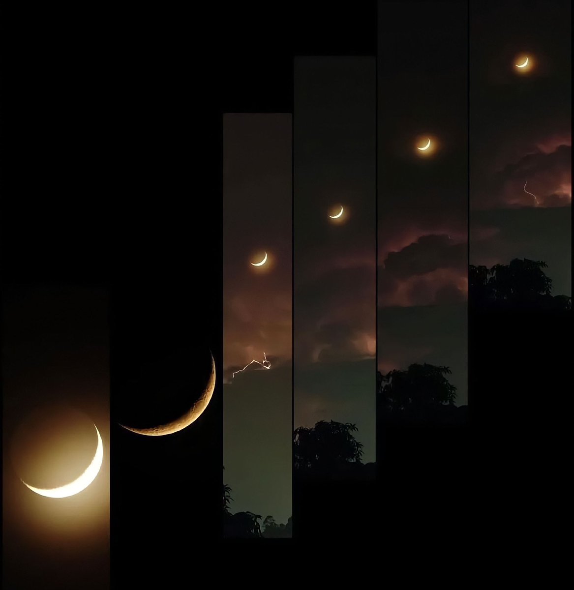 La Luna tweet media