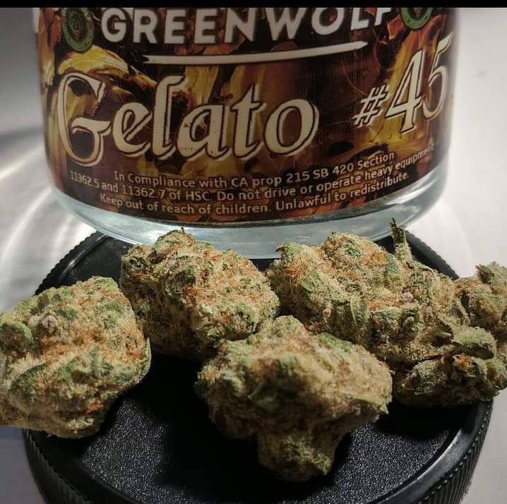 Fernand49034227's tweet photo. Gelato #45
#greenwolf
📸;420shotz https://t.co/HF94u1TpUO