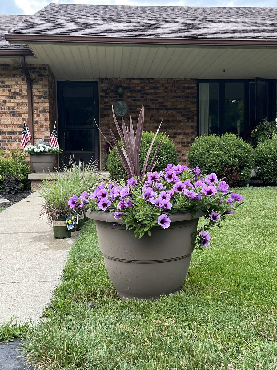 My first test planters Zone 5b #provenwinners #midwestgardening