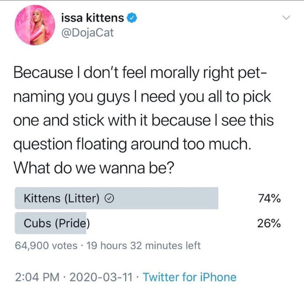 F1w3ythXwAATUDj?format=jpg&name=medium