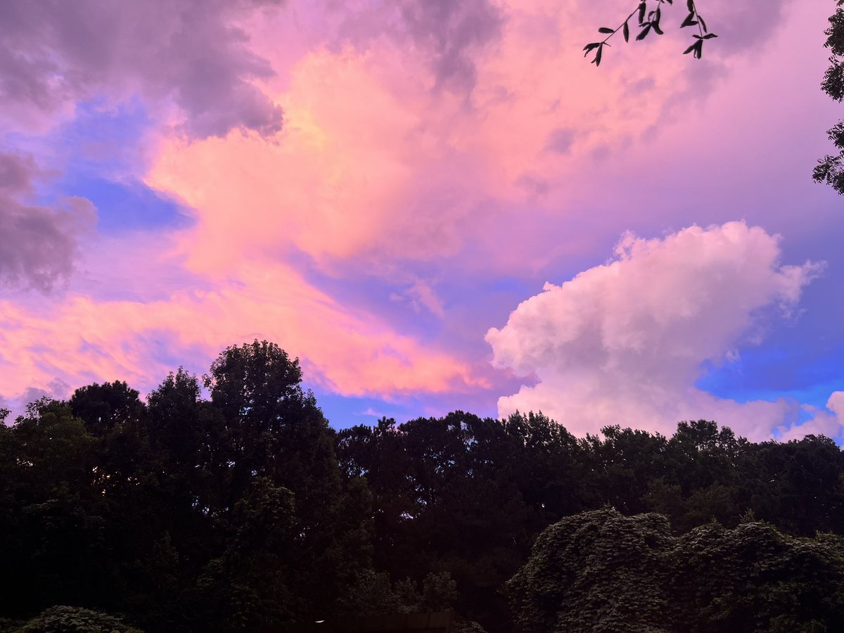 layhercake's tweet photo. .@MetDavidPaul @JoshWeather due east at dusk in New Brockton. https://t.co/7aBeDIMvsJ