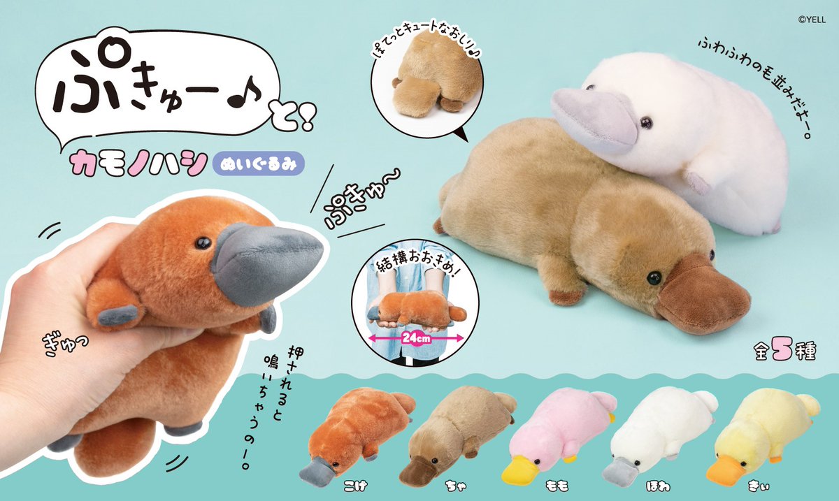 🌱7月新ぬいぐるみのご紹介🌱 『ぷきゅ～と！カモノハシ ぬいぐるみ