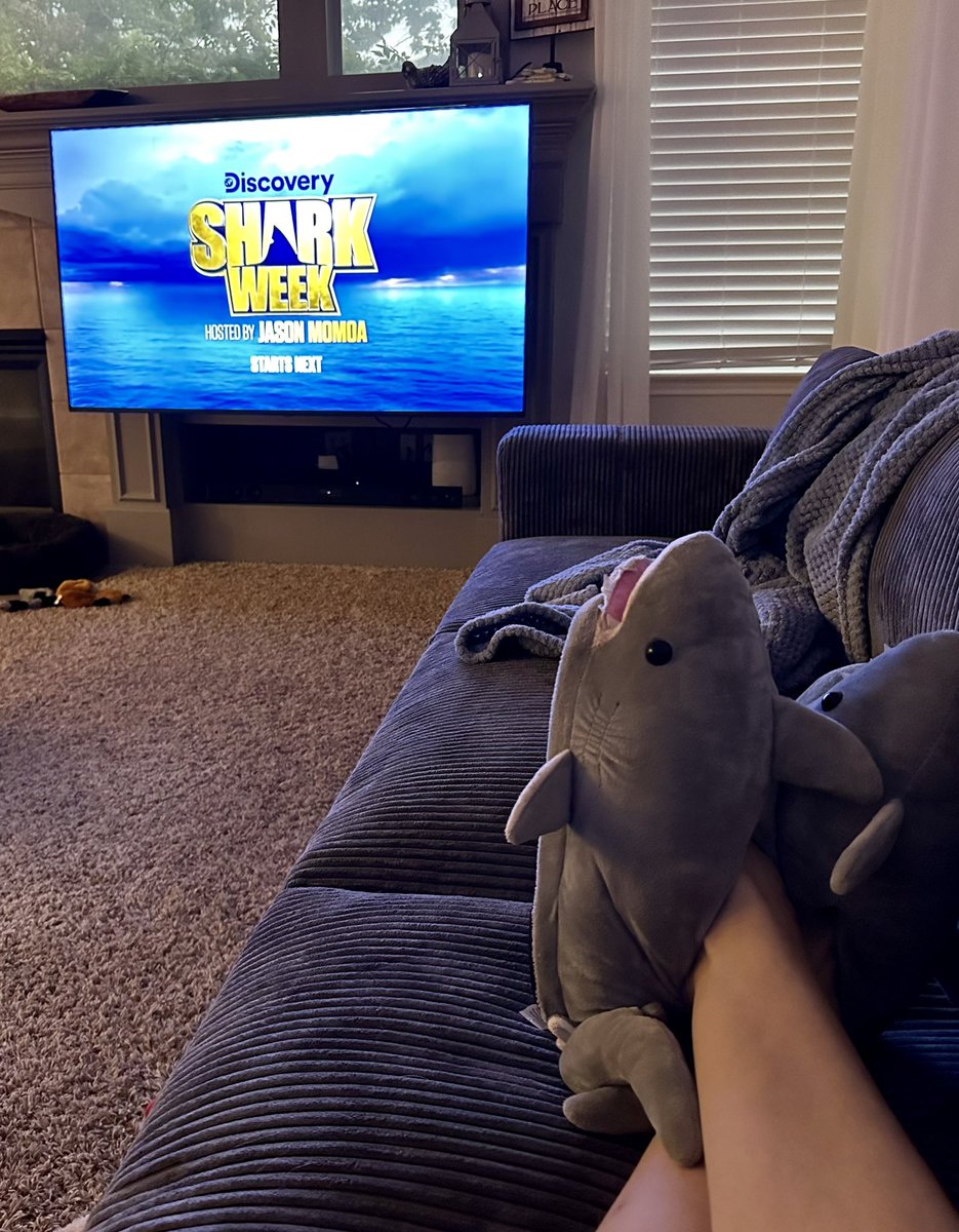 beccaldraper's tweet image. #SharkWeek