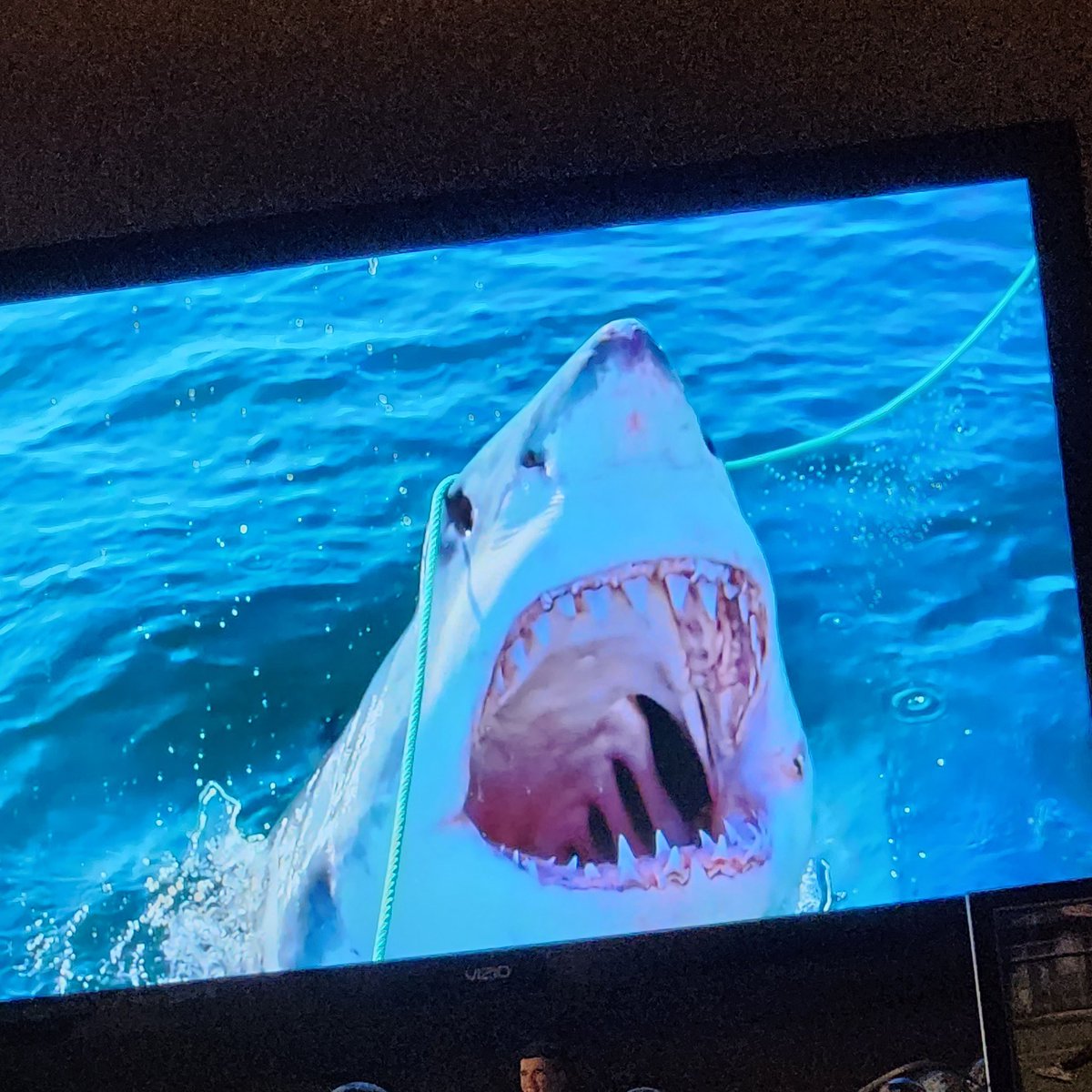 KeithALucas's tweet photo. Shark Week is so much better than Shart Week! #sharkweek #gonnaneedabiggerboatandnewunderwear https://t.co/OMosqUvYrm
