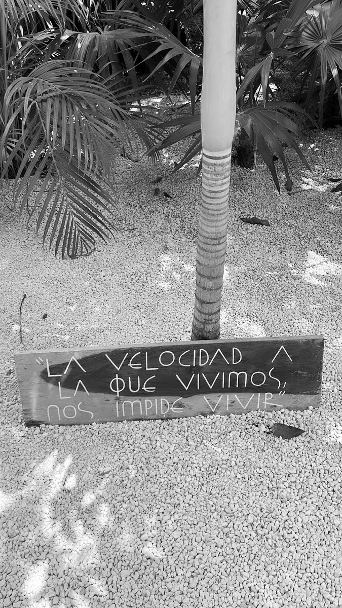 Gjoamd's tweet image. 📸🌴🔥