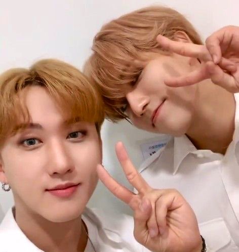 sereia ~ tweet media