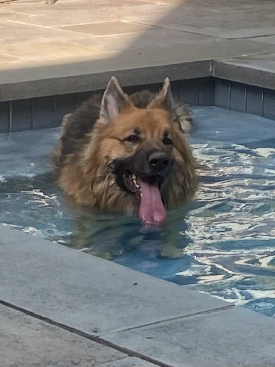 Joe Kernen on Twitter: &ldquo;hot https://t.co/PgYduSV6iC&rdquo; / Twitter