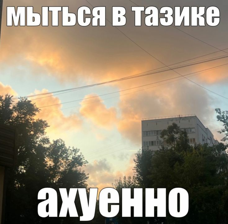 это я щас
