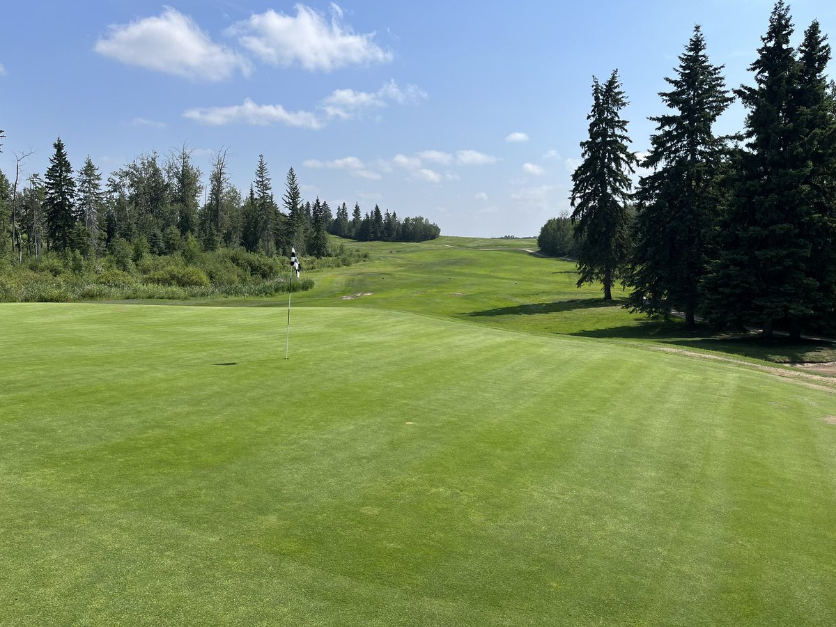 Hole 16 is one of the most popular here at The Wolf. 

Playing great from tee to green

#LinksCourseLive