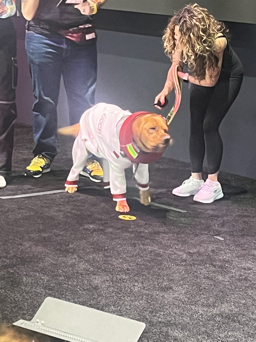 Gwen Ratkeeper tweet media