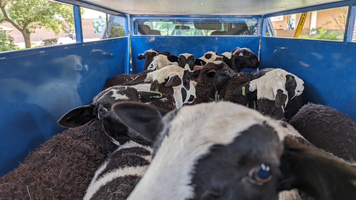 Adam French tweet media