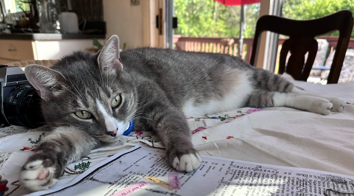 Laphroaig 🇺🇦 🇺🇦 tweet media