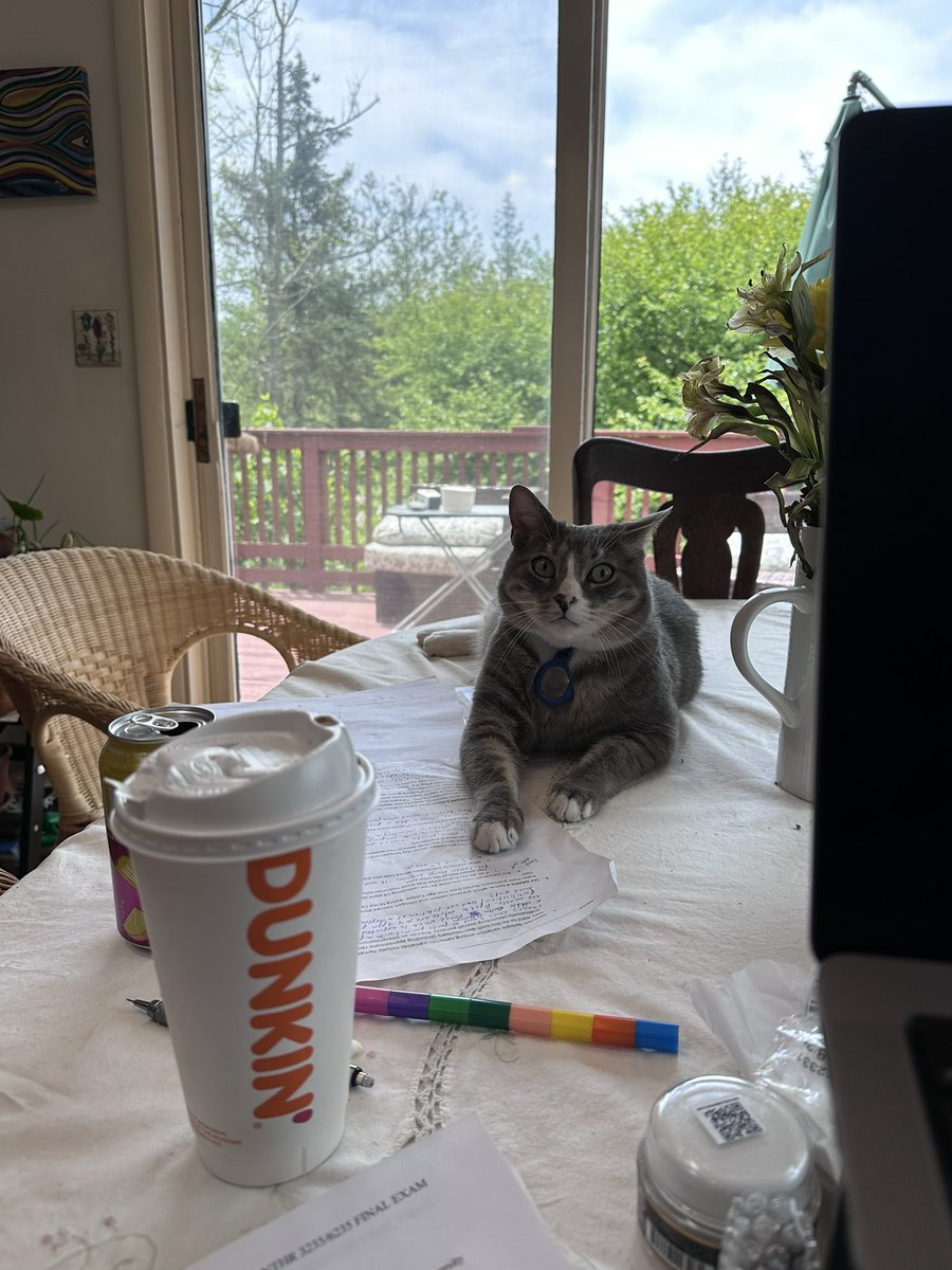 Hi pals!! I know it’s been way too long since I tweeted something. Been a year full of adventures and lots of studying for my human. We send all of you lots us hugs and purrs.