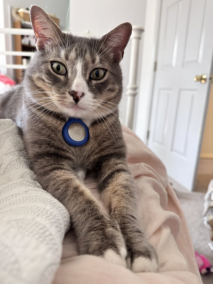 Laphroaig 🇺🇦 🇺🇦 tweet media