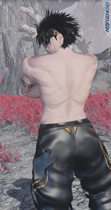ここ最近のまとめ #PSO2NGS