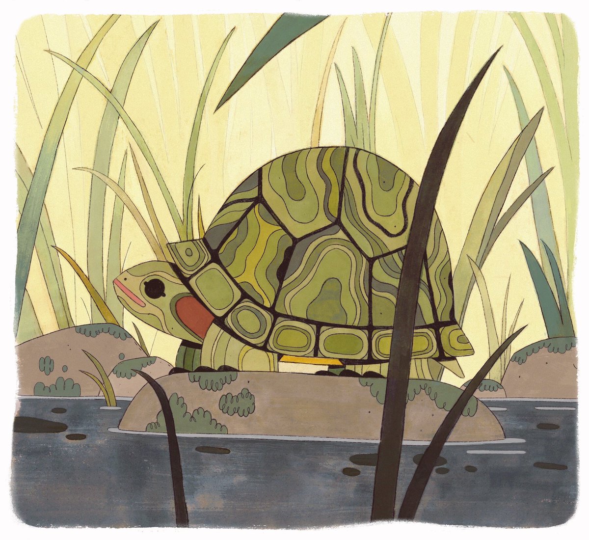 Taylor Price tweet media