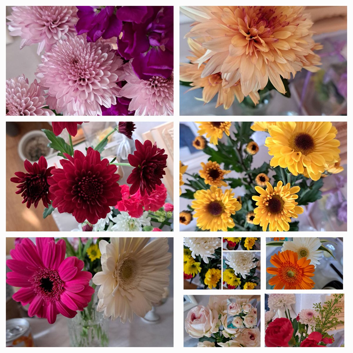 コメント不要です