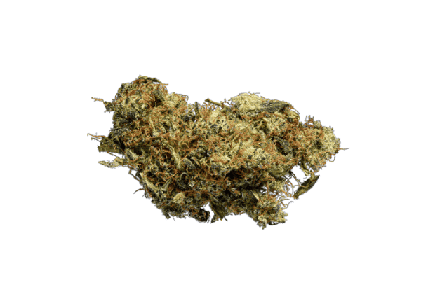 cannabis_sensei's tweet photo. 🎉 Elevate your mood and energy levels with Paloma! 💥😄 This hybrid strain offers a gradual transition from euphoria to relaxation, perfect for day use. https://t.co/63Ex0Z64Eb  #SativaLove #CannabisLifestyle https://t.co/zcIHfRE7pb