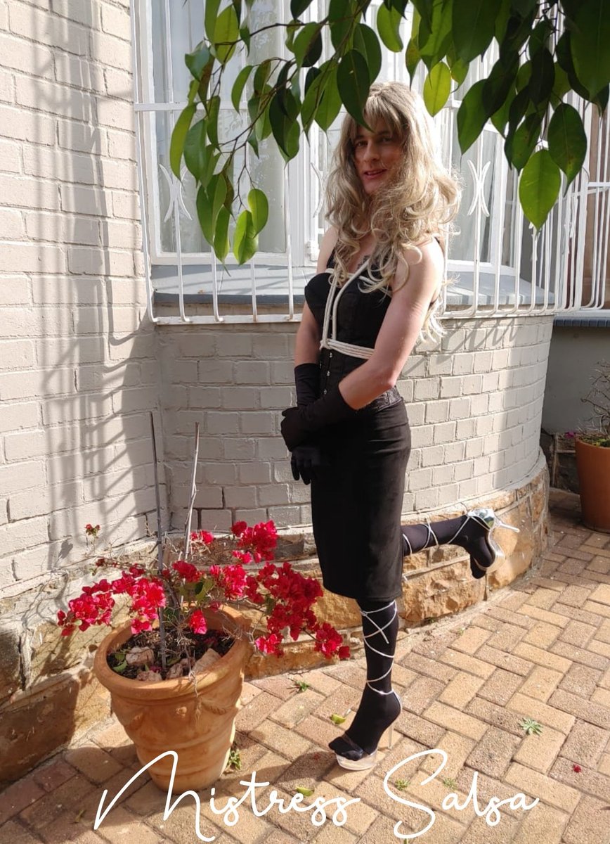 MistressSalsa's tweet photo. #femdom #bdsm #femaledomination #alphafemale #dominatrix #Mistress #MistressSalsa #Prodomme #sissyslut #sissyfication #sissytrainer #feminizer https://t.co/r6QCrU7jvP