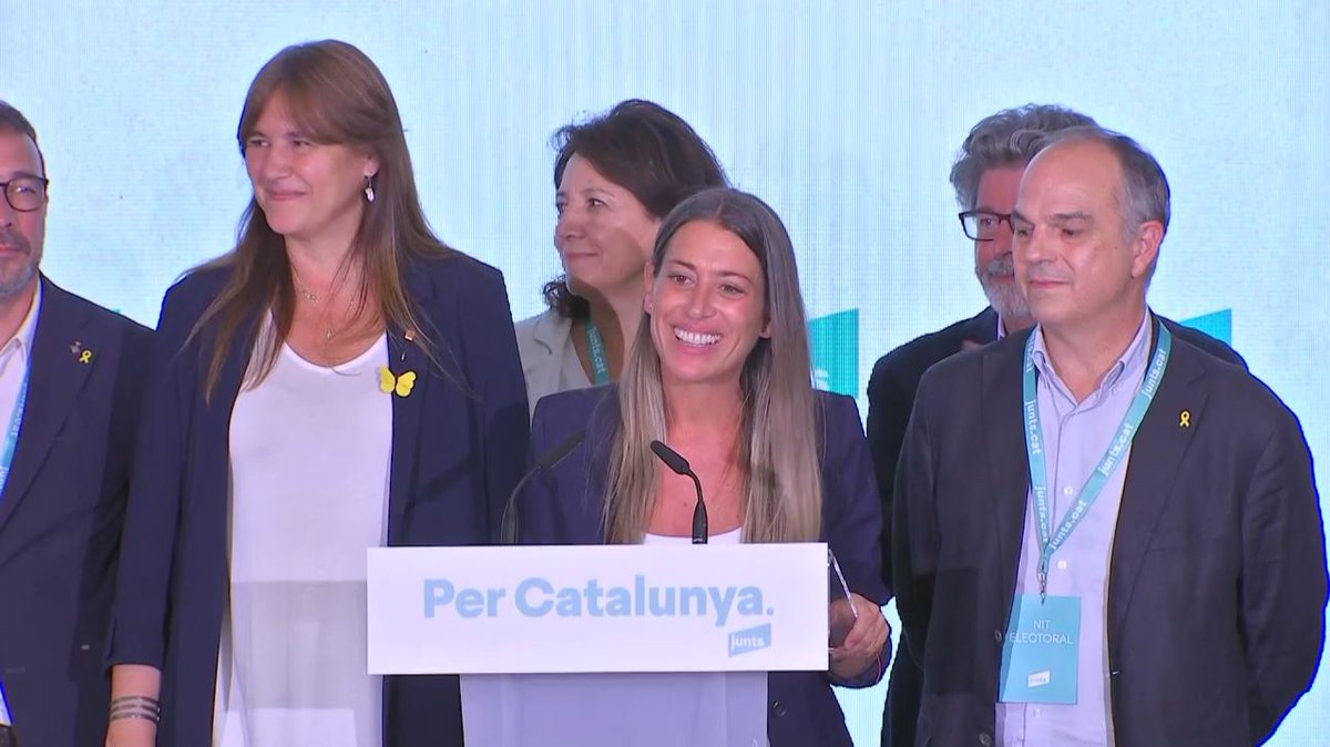 3CatInfo tweet media