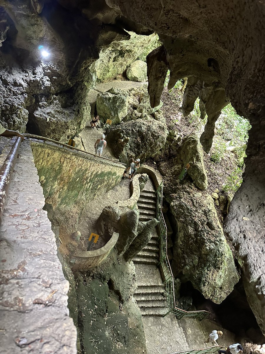 Alexandra Guilamo tweet media