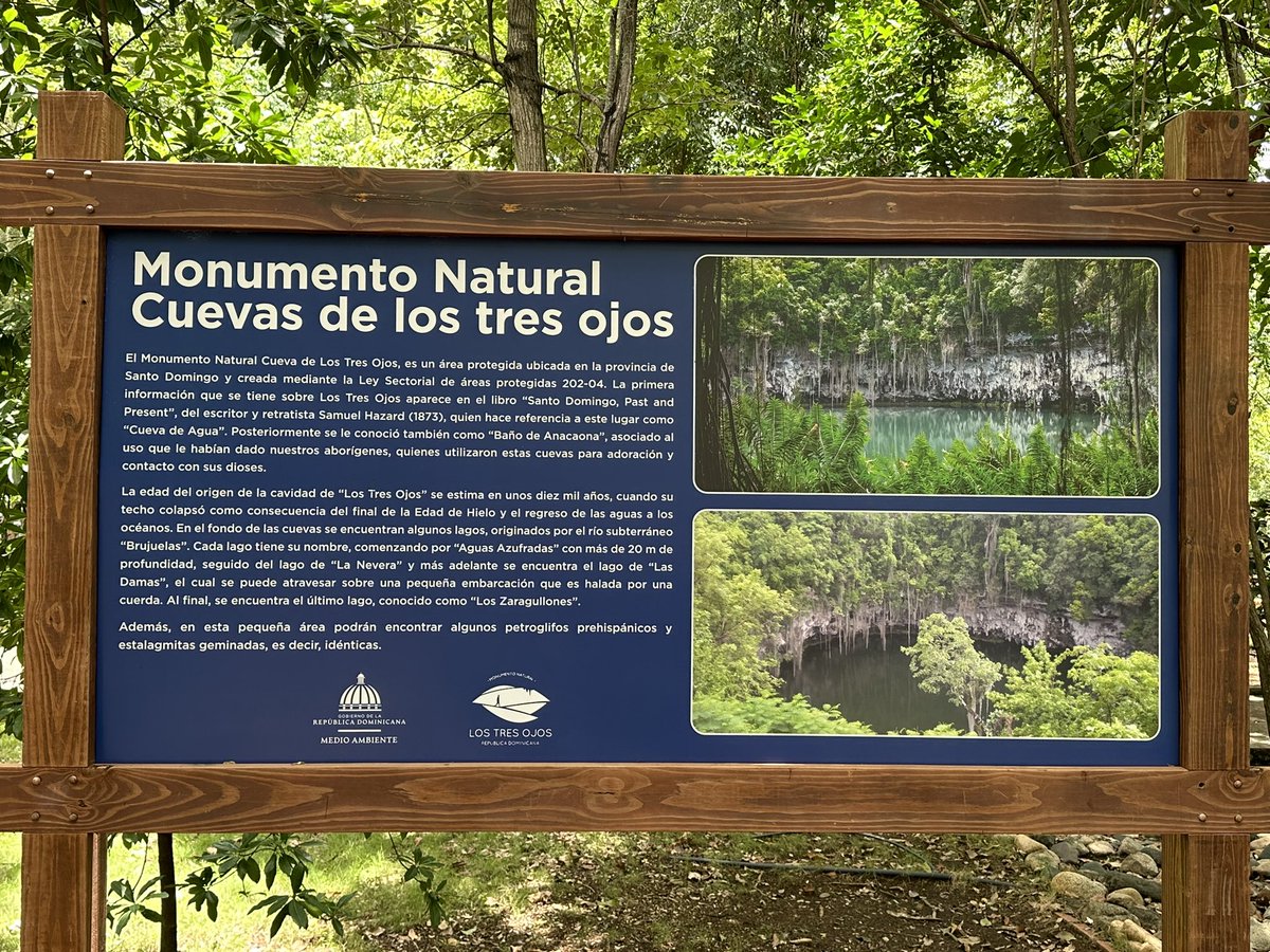 Alexandra Guilamo tweet media