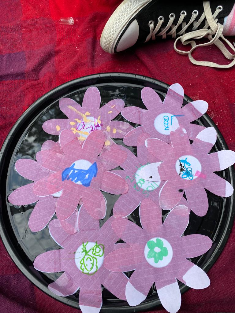 ThatsElementary's tweet photo. We #studied the #flowers in our #CommunityGarden #learning flower #petals open up when #cells #expand causing the #flower to #unfold We saw #flower cells under a #microscope #WeMade #paper flowers unfold in #water! ➡️🎞️ Watch our beautiful flowers unfold🎞️https://t.co/rgVnTFvtF6 https://t.co/iGj5A0uwLX