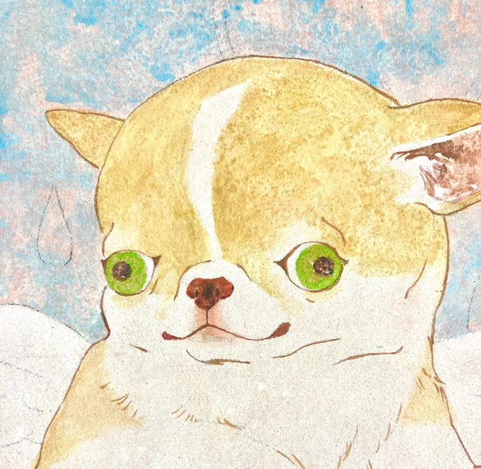 かわいい。