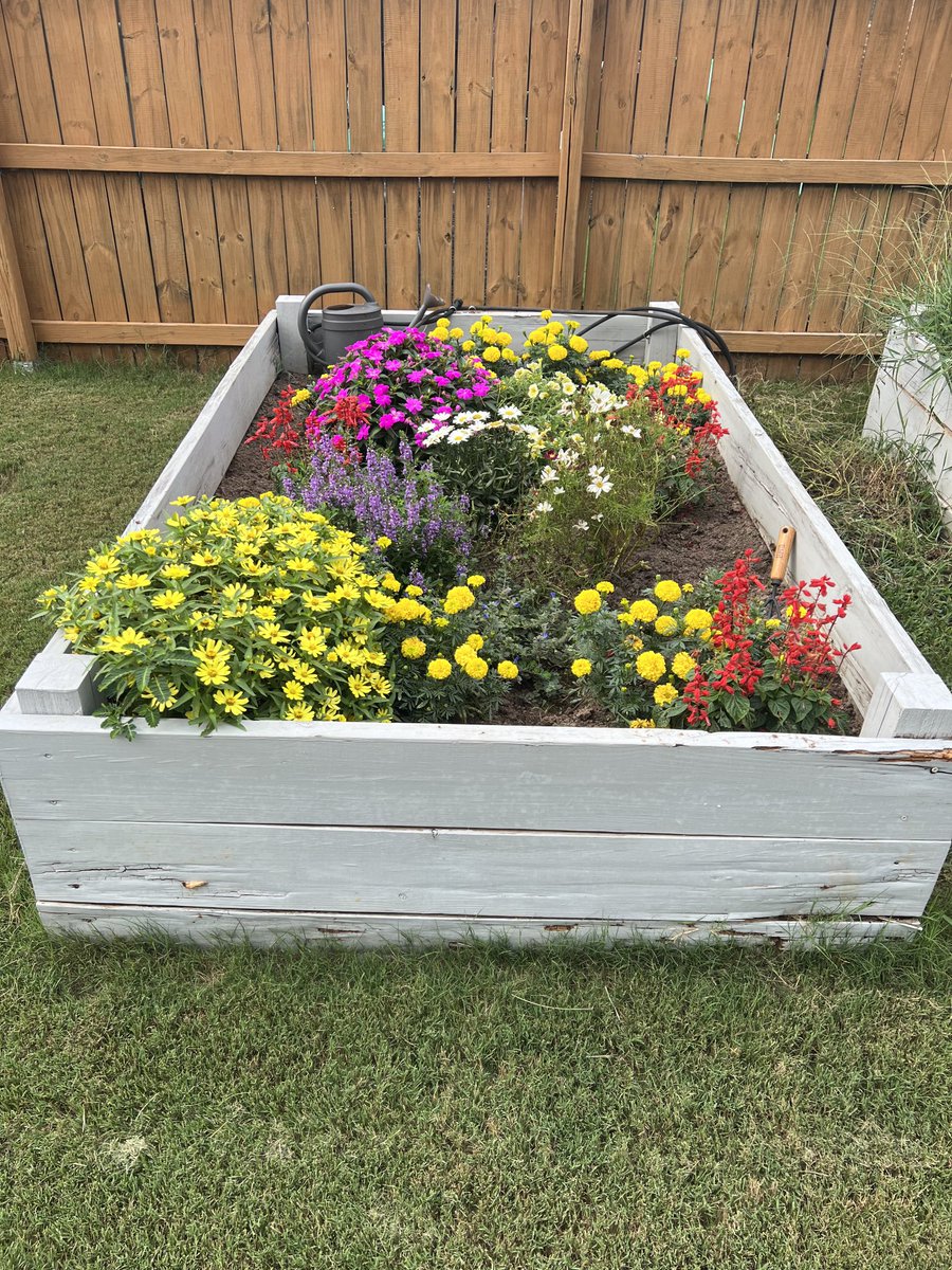 My youngest daughter and I created a flower garden to attract butterflies, bees, and ladybugs.  Left 5/12/23, Right 7/23/23 🐝🐞🦋