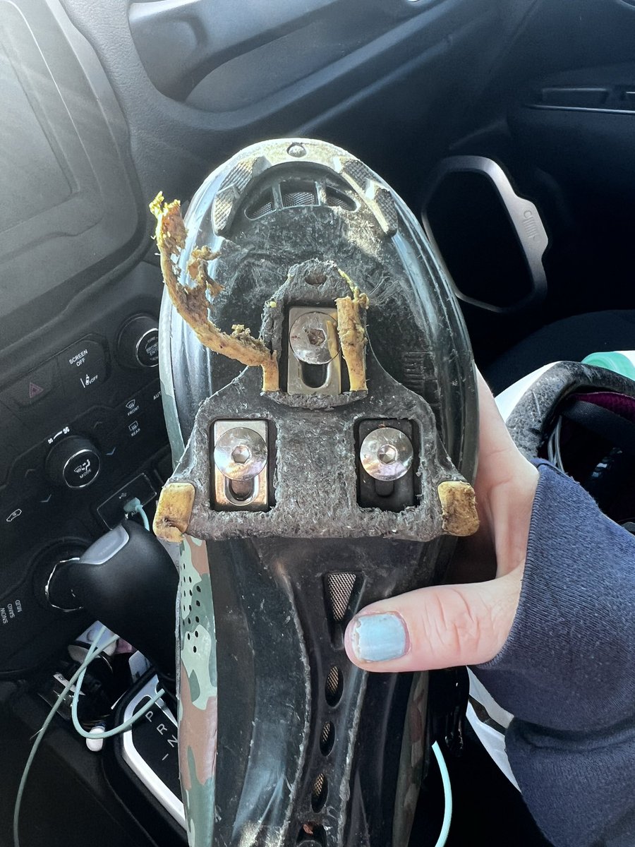 TeamJake tweet media