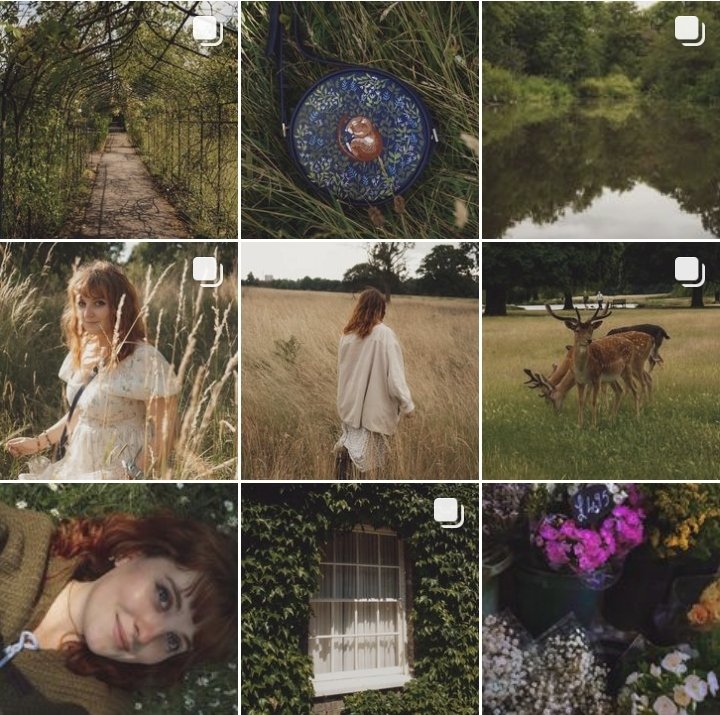 peacozy's tweet image. πΌπ’ πππππππππ:
π€instagram.com/bramblefilm?igβ¦π€