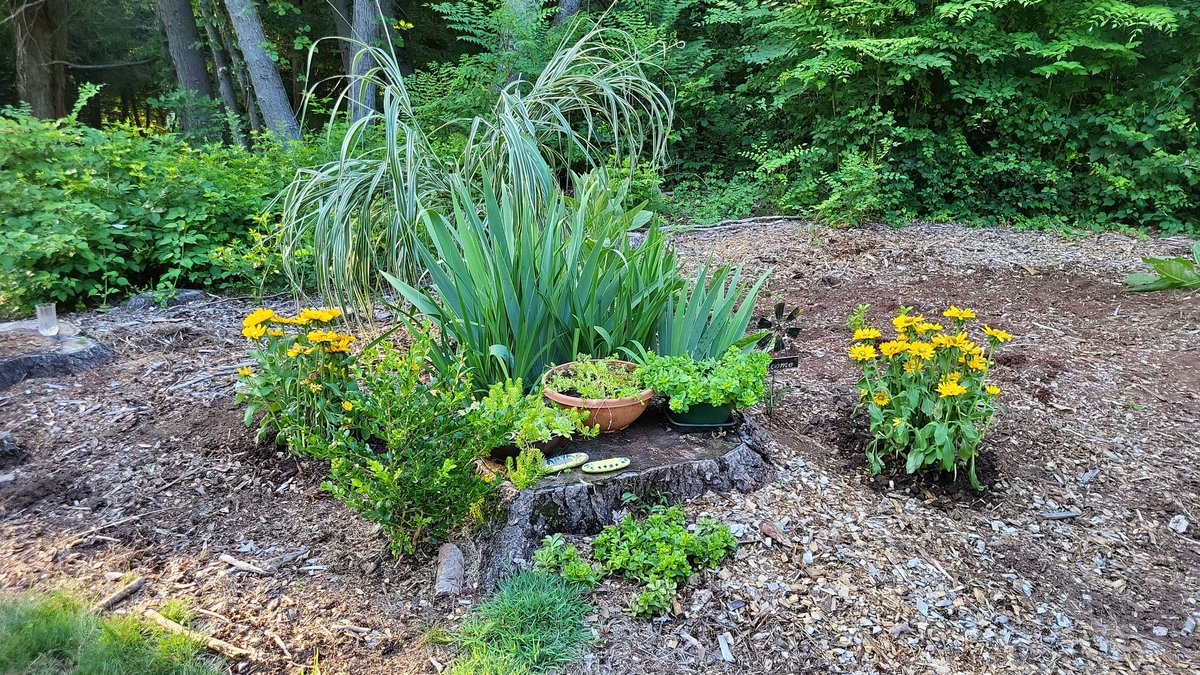 Nitya (@nityaabraham) on Twitter photo My Sunday of Zen: restful fellowship & worship at church in the AM 🙏🏾, then being outside and working in my garden while listening to <a href="/OperateZen/">Operate With Zen</a> in the PM 😁 My Sunday of Zen: restful fellowship & worship at church in the AM 🙏🏾, then being outside and working in my garden while listening to <a href="/OperateZen/">Operate With Zen</a> in the PM 😁