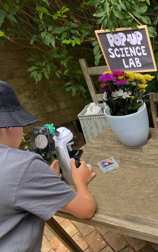 ThatsElementary's tweet photo. We #studied the #flowers in our #CommunityGarden #learning flower #petals open up when #cells #expand causing the #flower to #unfold We saw #flower cells under a #microscope #WeMade #paper flowers unfold in #water! ➡️🎞️ Watch our beautiful flowers unfold🎞️https://t.co/rgVnTFvtF6 https://t.co/iGj5A0uwLX