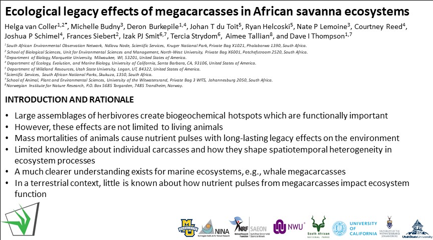 GrasslandSocSA's tweet photo. Elephants, also known as ecosystem engineers impact ecosystem function, both in life and after death #buthow #letssee #ecology #megacarcassecology #GSSACongress58 @DrHelgavC https://t.co/j785XkwEt1