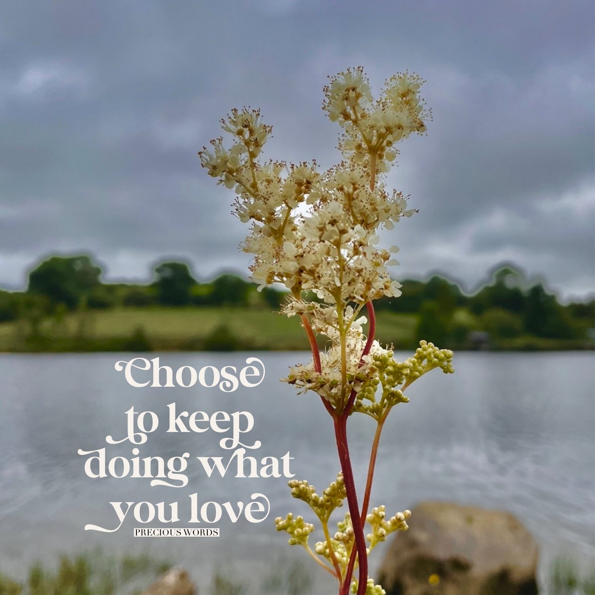 Choose to keep doing what you love. For me, I love Sunday with family outdoors and taking photos I can use to inspire.
#meadowsweet #choosetodowhatyoulove #choosehappiness #choosetoinspire #dowhatyoulovelovewhatyoudo #preciouswords #preciousdays