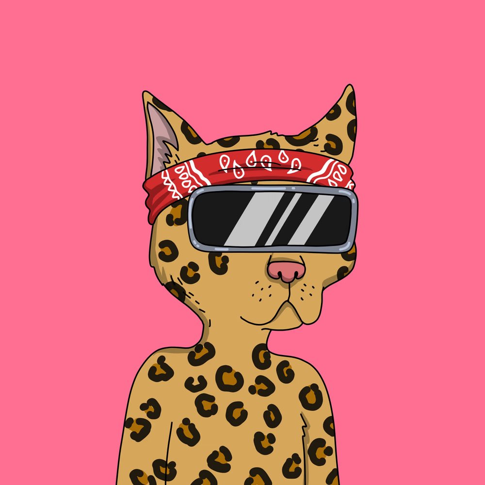 0xsavvy's tweet photo. GangGang, big thanks to @epkytnft for the smooth trade. https://t.co/F28RkRXZ69