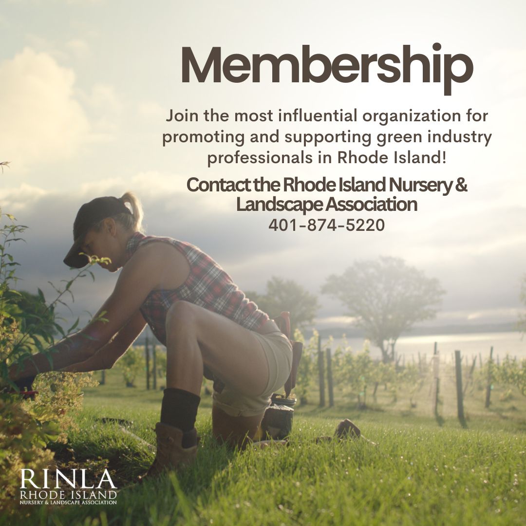 Since 1919, #RINLA members have played a vital and integral role in creating a resilient #RhodeIsland and explore new territories in #sustainableagriculture and livable communities. ⚓️💪
Find 10 reasons to become a RINLA member here:bit.ly/RINLA_Membersh…
#BecomeARINLAMember