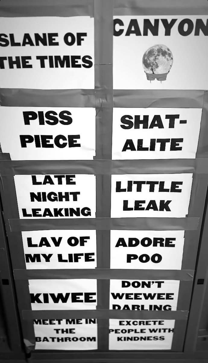 A full library of all the Harry puns used on the portable toilet backstage for #LoveOnTour Europe 2023! 

📸: kodibramble