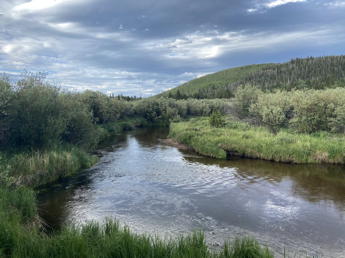 Brandon Fong tweet media