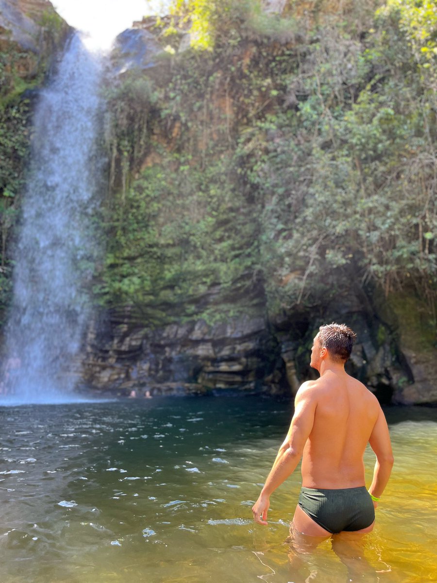 André Camargo tweet media