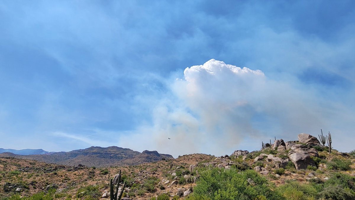 Pyrocumulus cloud from the #diamondfire. #azwx