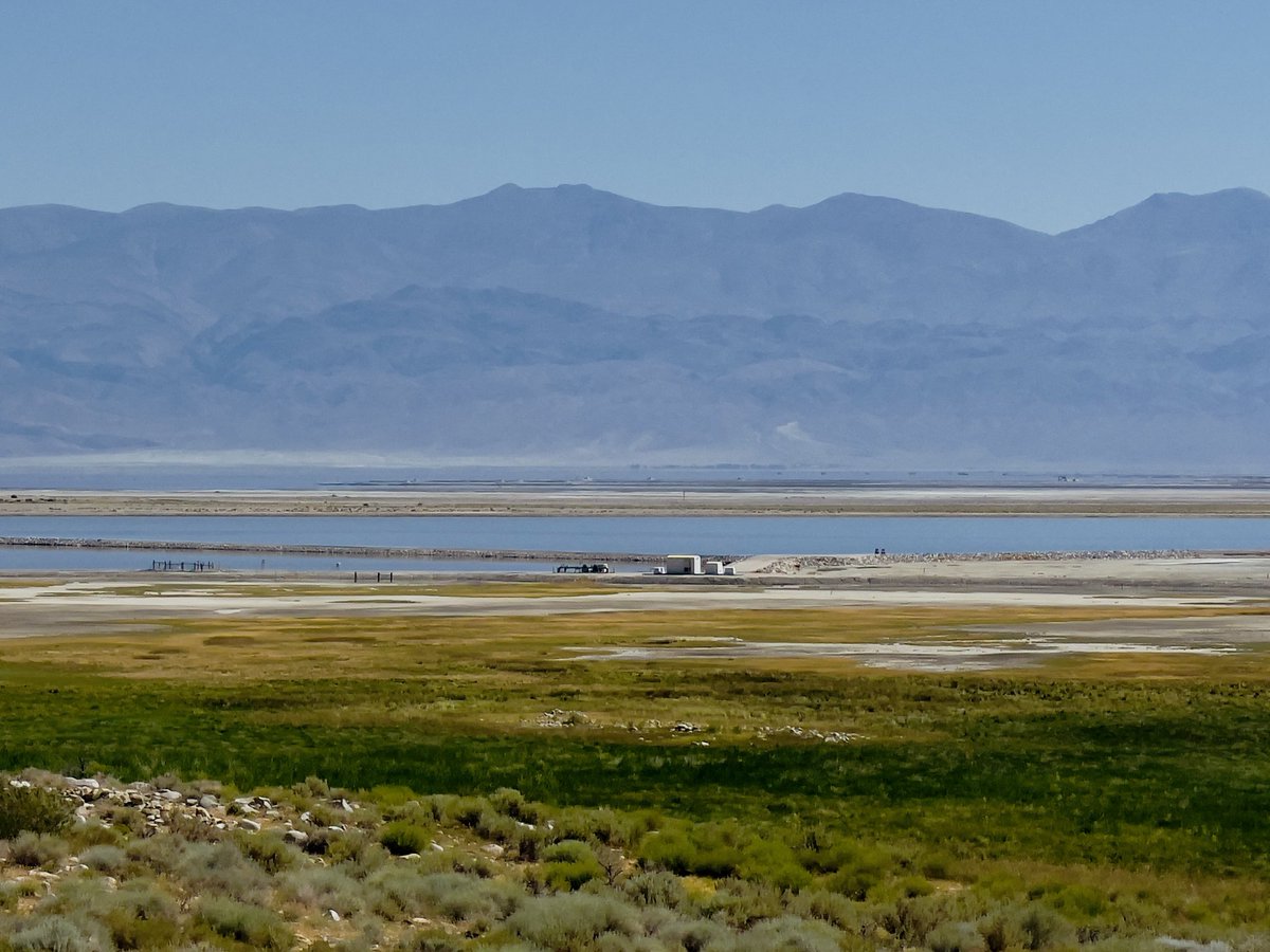 tripleMMeaning's tweet photo. We really suck.
So when I drove by on Thursday and saw water in the lake for the first time in 100+ years, I wept.
“They” say this wet Owens is an ecological failure which only happened because parts of the LA aquaduct collapsed during our heavy rains this year.
#Route395 https://t.co/qSpRKxCWOb