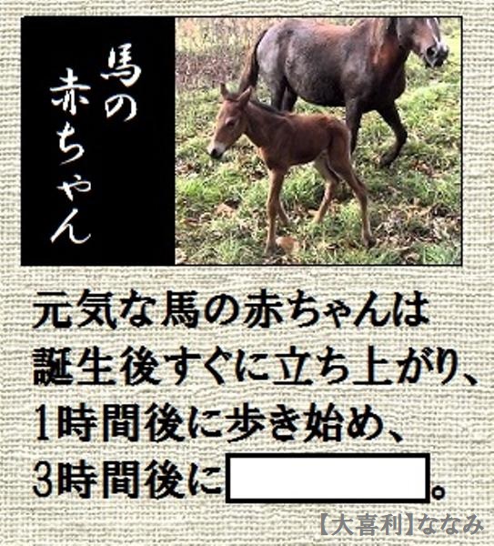 7seananami's tweet image. 空欄を埋めてください
#大喜利 #ボケて #拡散希望 3078892