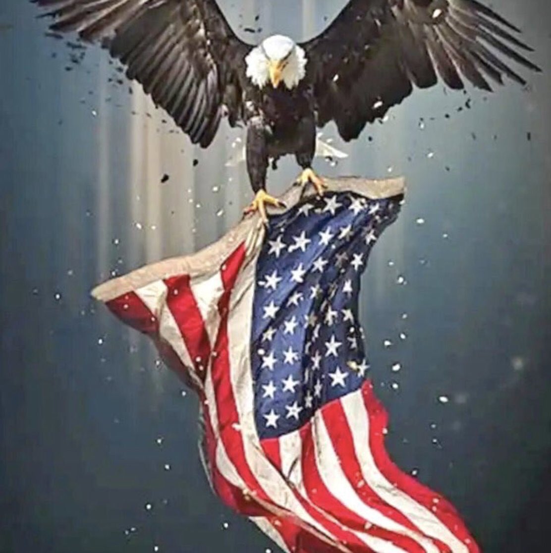 All Patriots🌹❤️ <a href="/maggiewise111/">MaggieWise ⭐️⭐️⭐️</a> ❤️🌹got her main back! She’s closing in on the 20,000 Followers milestone! Let’s unite to give her a lift! Maggie is a true MAGA Patriot Lady &amp; is also a fantastic friend. If you aren’t already following her, please do so. We have this! Let’s roll.