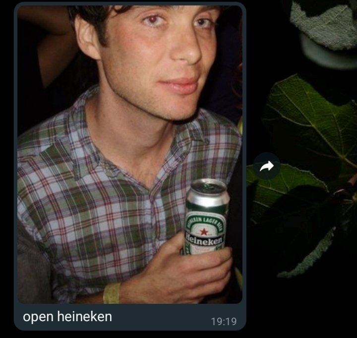 arara que gritava fodase (@aldpeach) on Twitter photo 