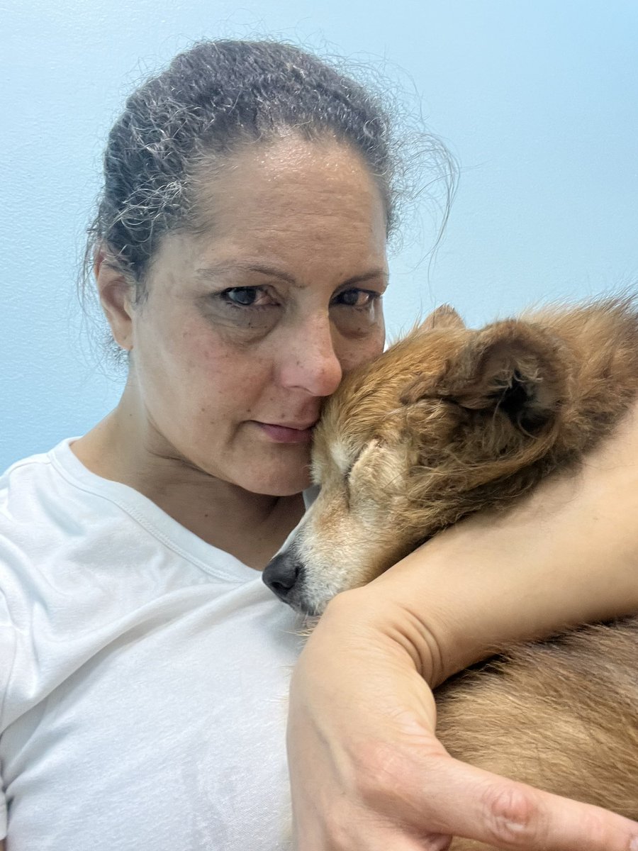 Karen Finney tweet media